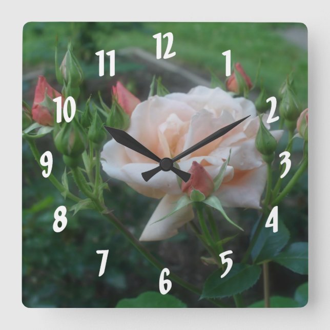 Blume der Rose Quadratische Wanduhr (Vorderseite)