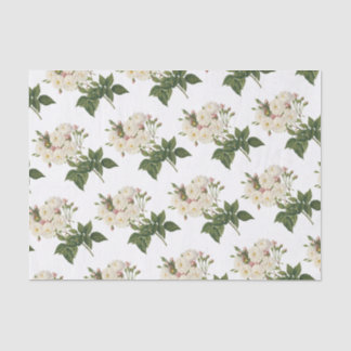 Blume der Rose Seidenpapier