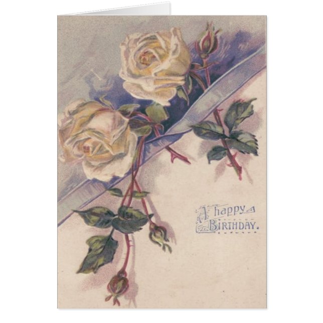 Blume der Rose White Rose (Vorne)