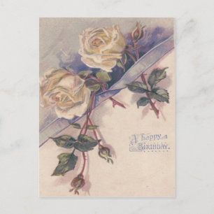 Blume der Rose White Rose Postkarte
