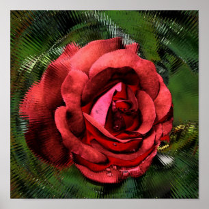 Blume der rote Rose in blühender Abstrakter Kunst Poster