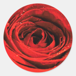 Blume der rote Rose Runder Aufkleber