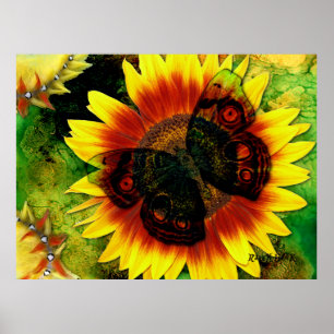 Blume der Schmetterlinge Poster