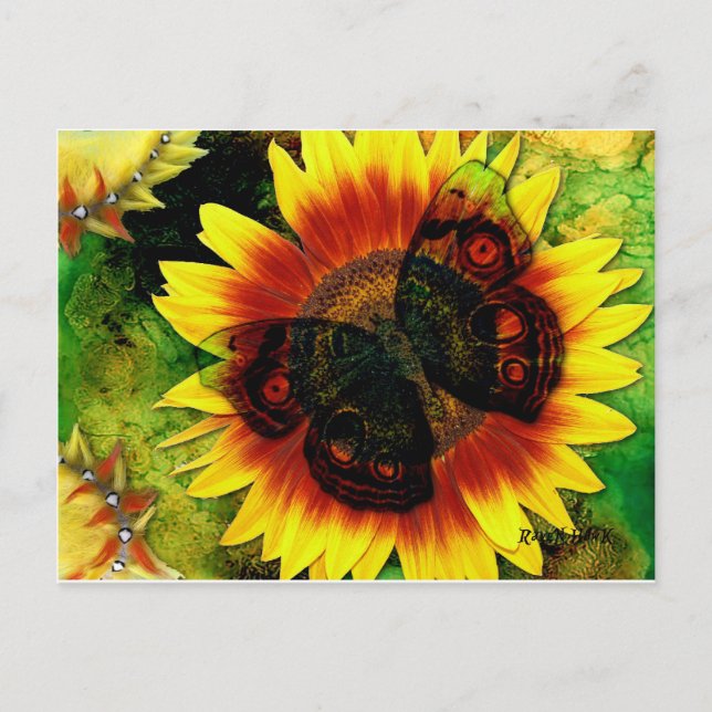 Blume der Schmetterlinge Postkarte (Vorderseite)