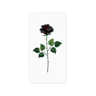 Blume der schwarzen Rose Adressaufkleber