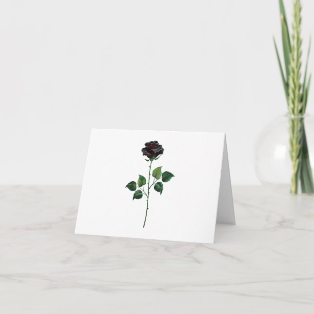 Blume der schwarzen Rose Ankündigung (Vorderseite)