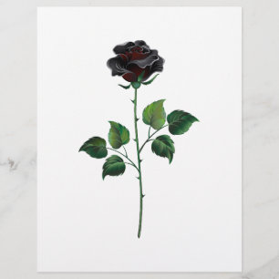 Blume der schwarzen Rose Flyer