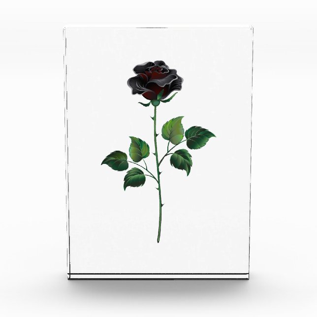 Blume der schwarzen Rose Fotoblock (Vorderseite)