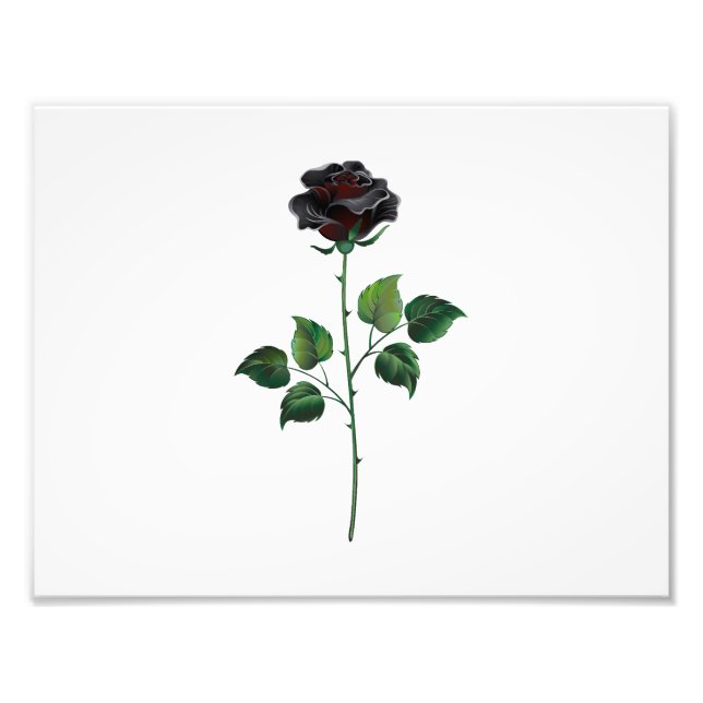 Blume der schwarzen Rose Fotodruck (Vorne)