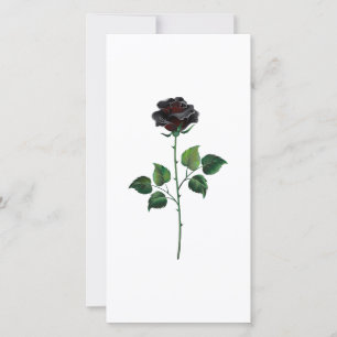 Blume der schwarzen Rose Karte
