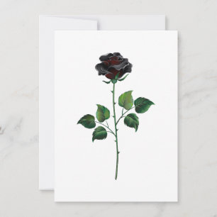 Blume der schwarzen Rose Karte