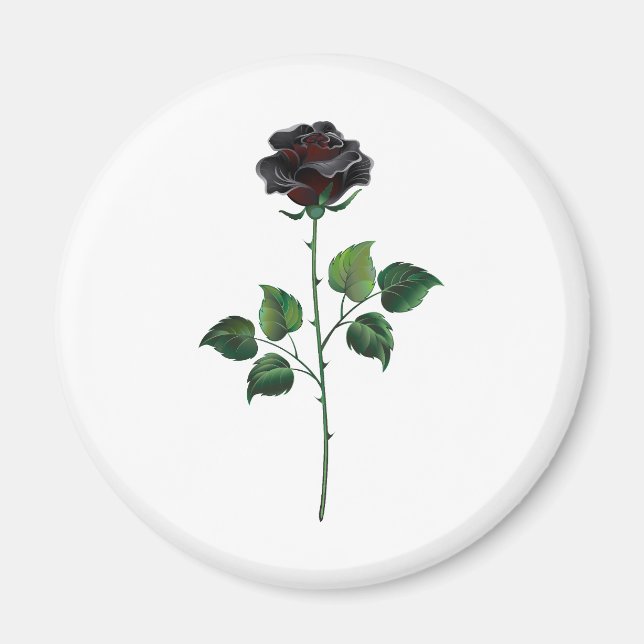 Blume der schwarzen Rose Magnet (Vorne)