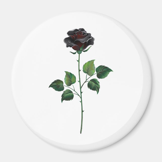Blume der schwarzen Rose Magnet (Vorne)
