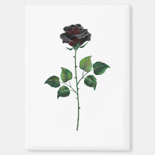 Blume der schwarzen Rose Magnet
