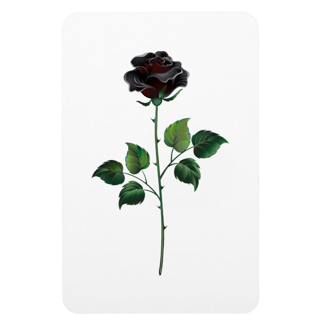 Blume der schwarzen Rose Magnet (Vertikal)