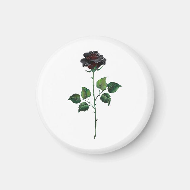 Blume der schwarzen Rose Magnet (Vorne)