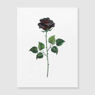 Blume der schwarzen Rose Magnetkarte