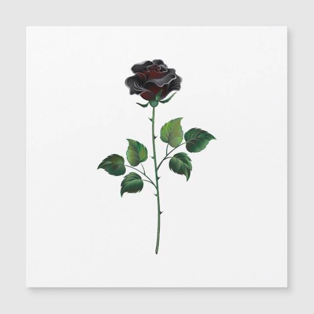 Blume der schwarzen Rose Magnetkarte (Vorderseite)