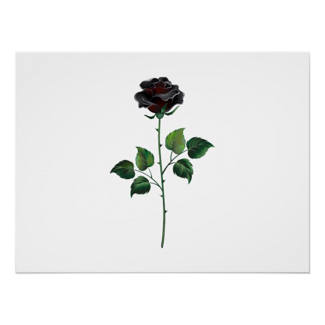 Blume der schwarzen Rose Poster (Vorderseite)