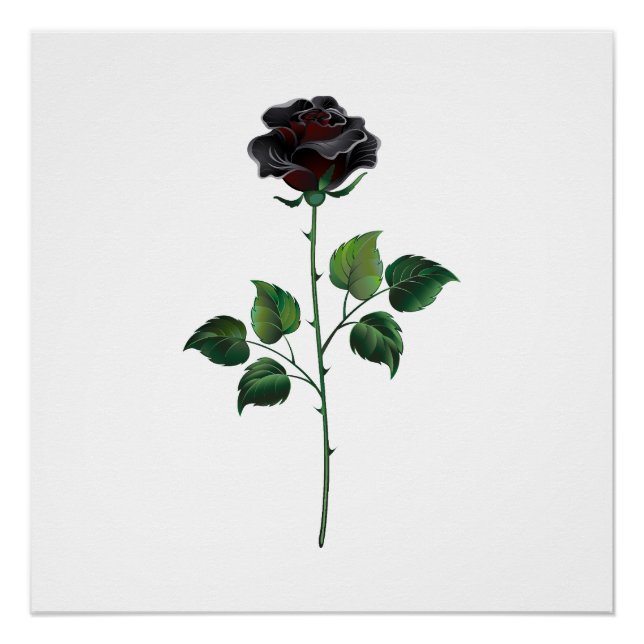 Blume der schwarzen Rose Poster (Vorderseite)