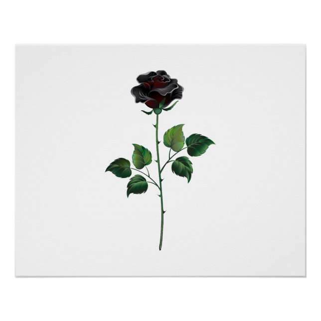Blume der schwarzen Rose Poster (Vorderseite)