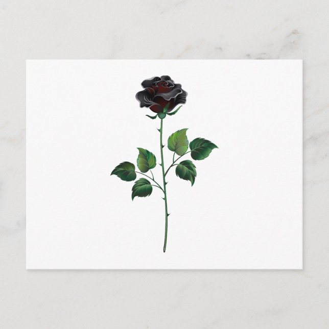 Blume der schwarzen Rose Postkarte (Vorderseite)