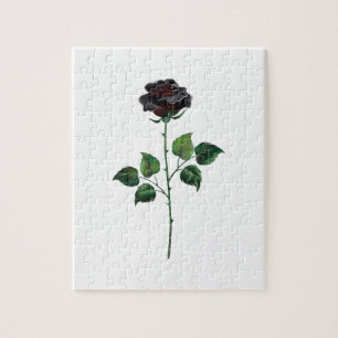 Blume der schwarzen Rose Puzzle