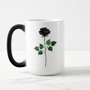Blume der schwarzen Rose Verwandlungstasse