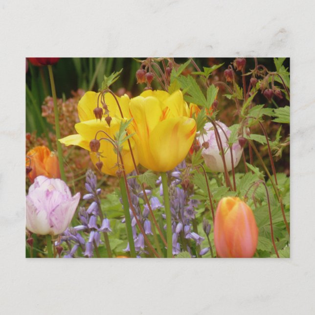 Blume der Tenderness Postkarte (Vorderseite)