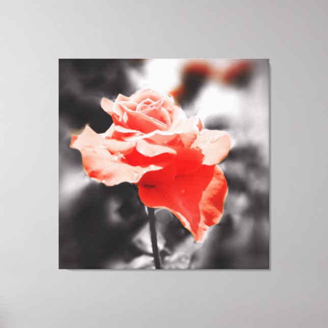Blume der Vintagen Rose Leinwanddruck (Vorderseite)