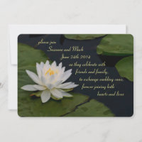 Blume der Wasserlilie am Teich glühender Zen