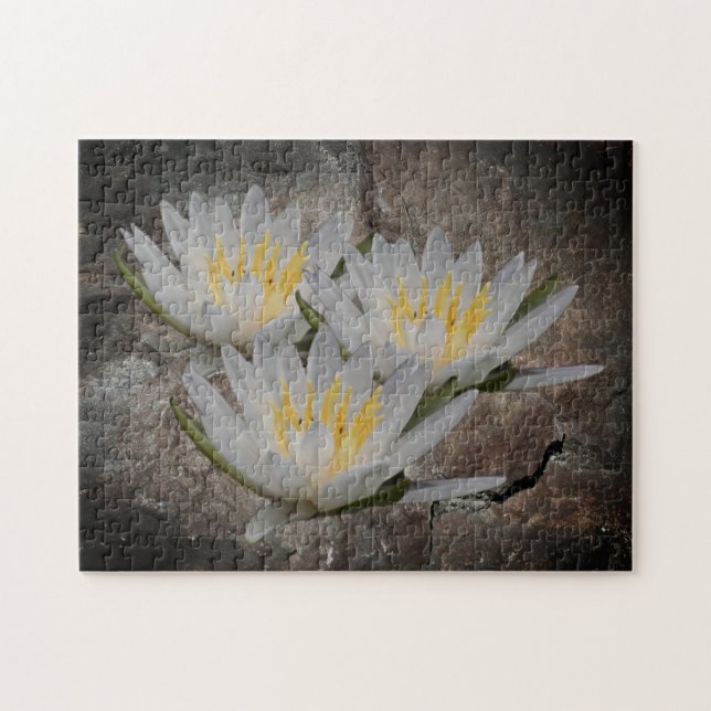 Blume der Wasserlilie Lotus auf Steinen Puzzle (Horizontal)