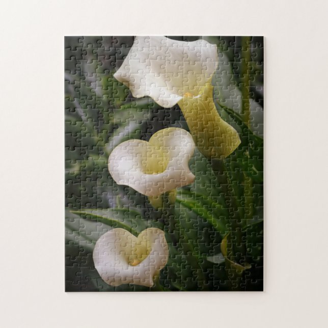 Blume der weißen Calla Lily Fotografisches Puzzle (Vertikal)
