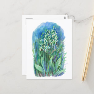 Blume der weißen Schmetterling-Orchideenfeder Postkarte