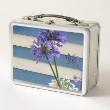 Blume der weißen und mauvischen Allium-Streifen