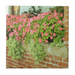 Blume der Windows-Box Fliese