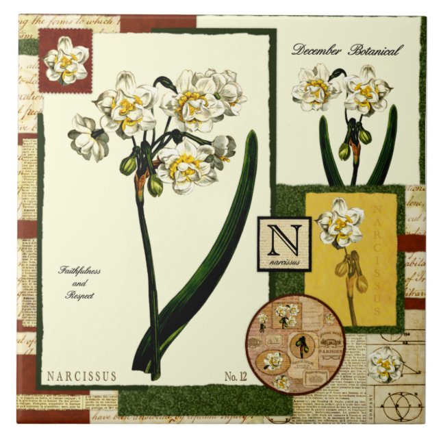 Blume des Dezembers Fliese (Vorderseite)