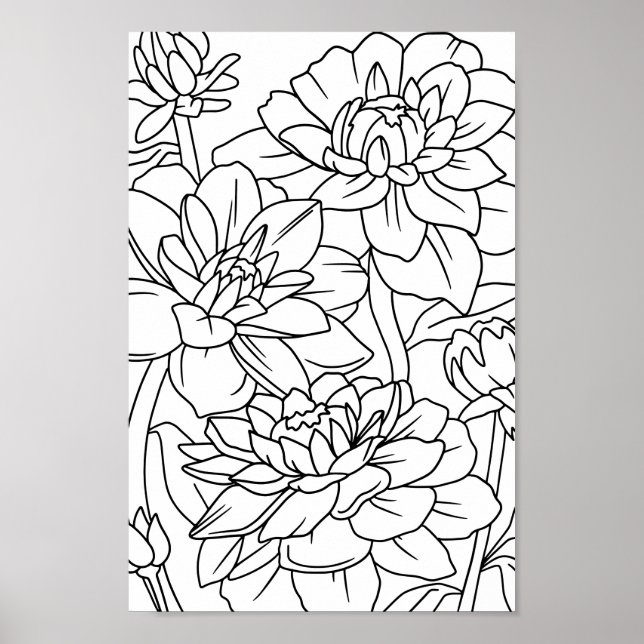 Blume des erwachsenen Lotus 1 Poster (Vorne)