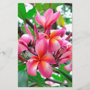 Blume des Frangipani (Plumeria) Briefpapier