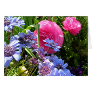 Blume des Frühlings