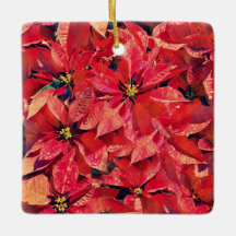 Blume des Glaubens Isaiah Poinsettia Ornament