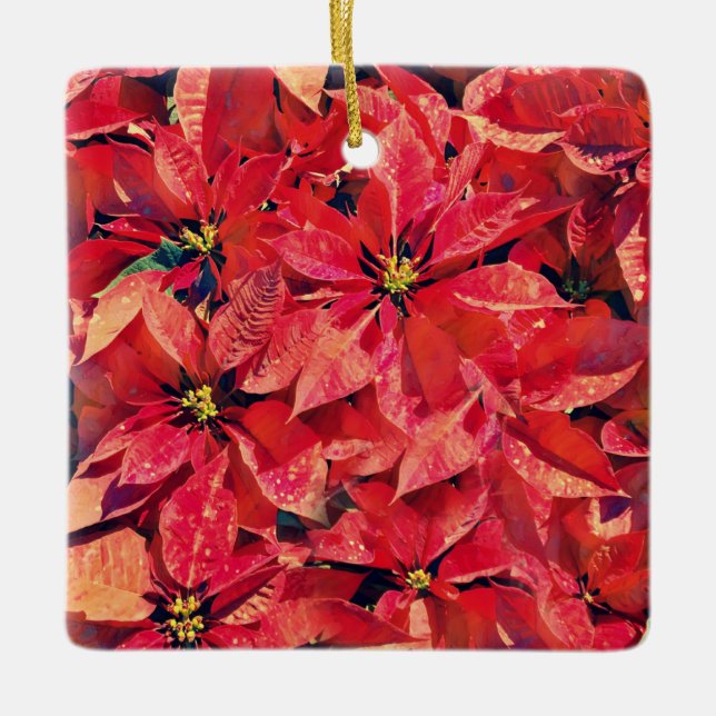 Blume des Glaubens Isaiah Poinsettia Ornament (Vorderseite)