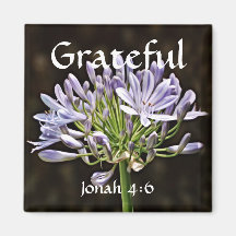 Blume des Glaubens Jonah Agapanthus Magnet
