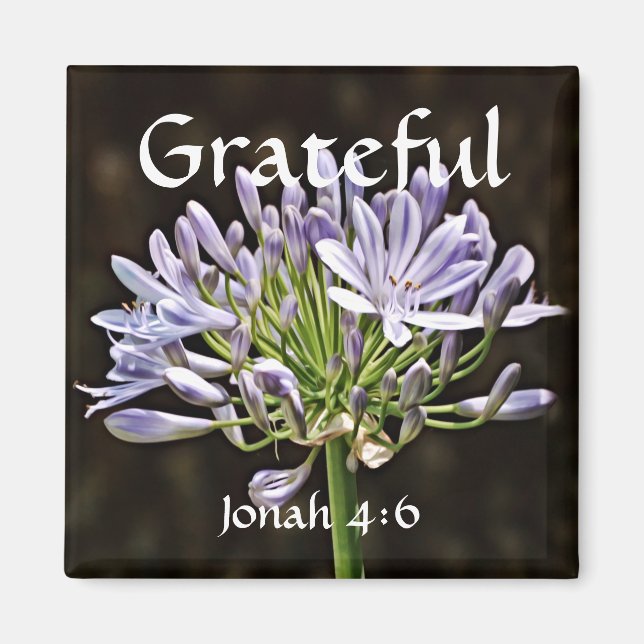 Blume des Glaubens Jonah Agapanthus Magnet (Vorne)