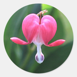 Blume des Herzens Runde Umschlag Aufkleber