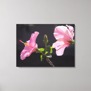 Blume des Hibiskus in Profil Leinwanddruck