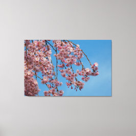 Blume des Kirschbaumes Leinwanddruck