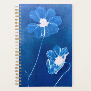 Blume des kleinen Zyanotyps Planer