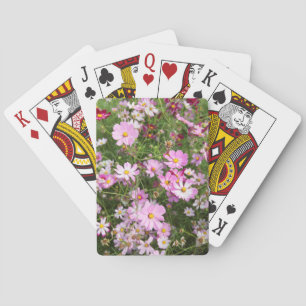 Blume des Kosmos (Bidens Formosa). Kirkwood Spielkarten