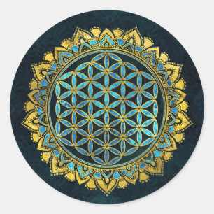 Blume des Lebengoldes ein blaues Runder Aufkleber